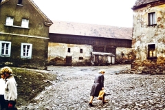 My beautiful picture