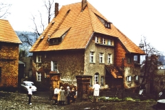 My beautiful picture