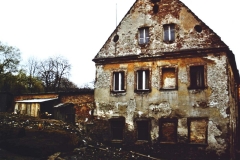 My beautiful picture