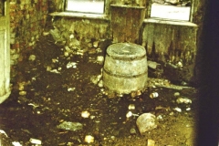 My beautiful picture